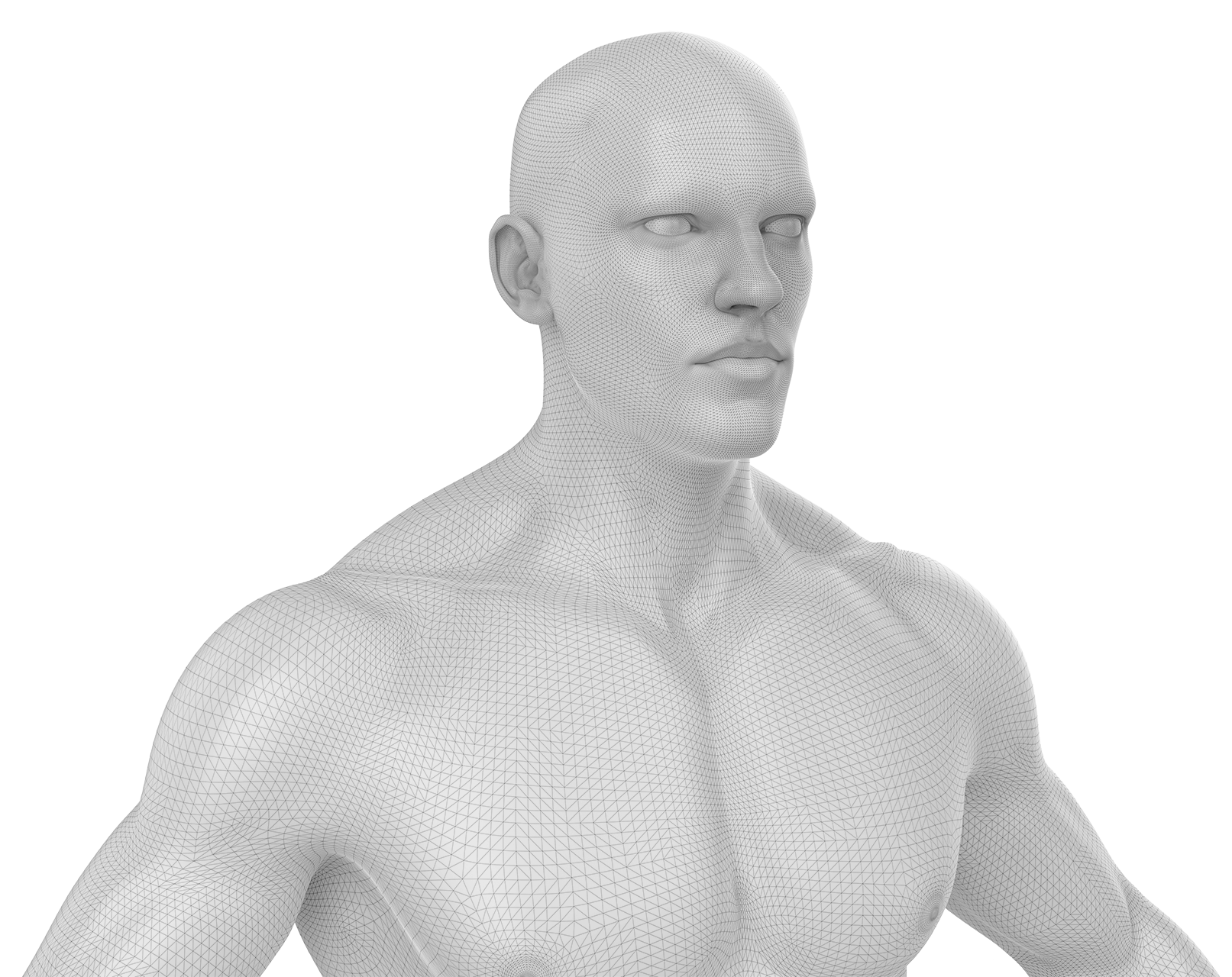 Human-Model-Mesh-Overlay Human-Model-Mesh-Overlay